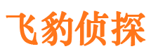 怀仁婚外情调查取证